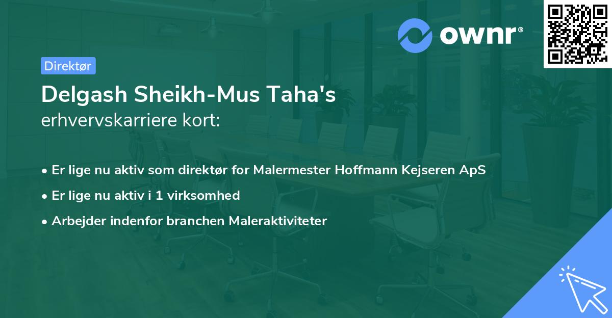 Delgash Sheikh-Mus Taha's erhvervskarriere kort