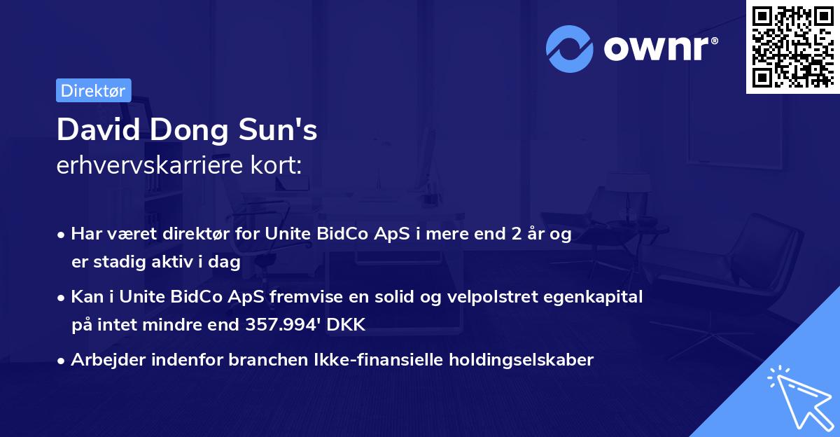 David Dong Sun's erhvervskarriere kort