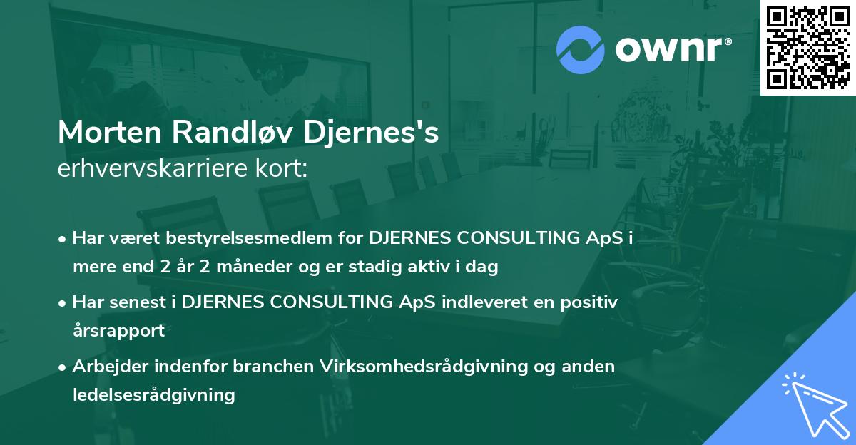 Morten Randløv Djernes's erhvervskarriere kort