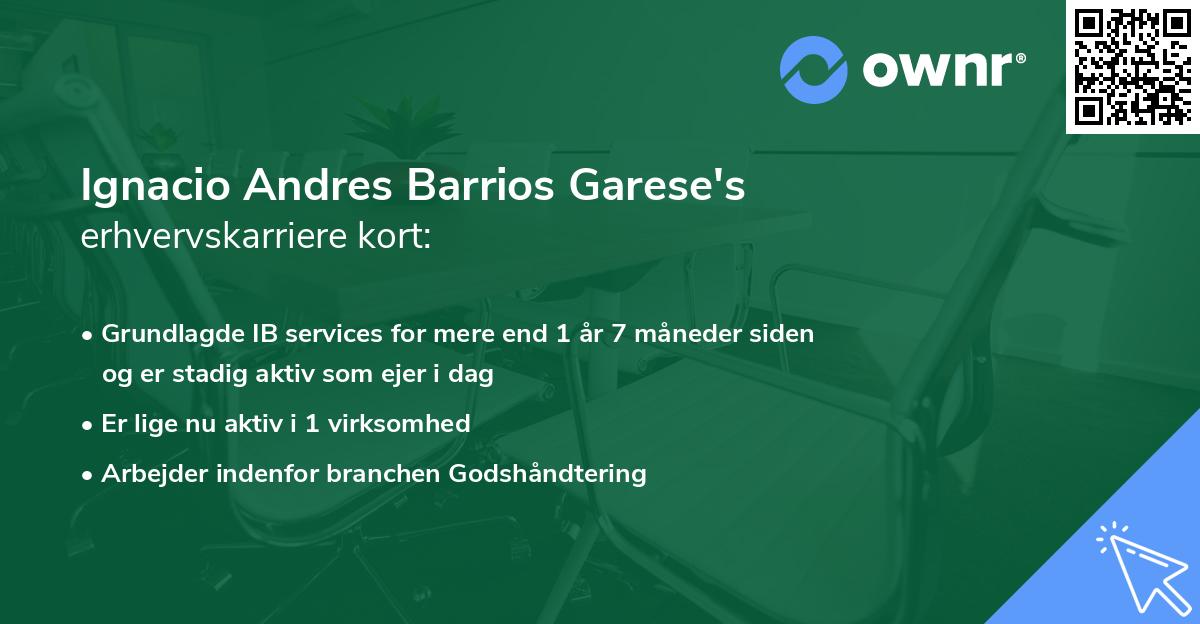 Ignacio Andres Barrios Garese's erhvervskarriere kort