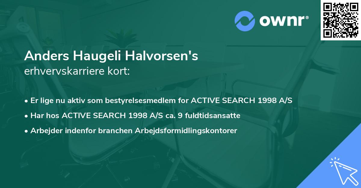 Anders Haugeli Halvorsen's erhvervskarriere kort