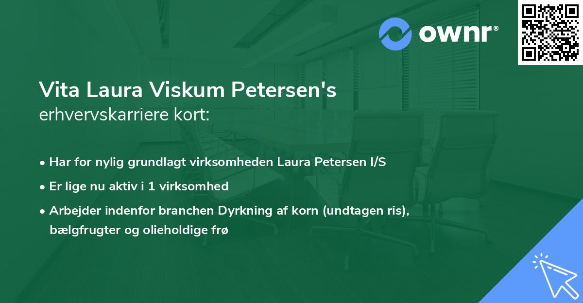 Vita Laura Viskum Petersen's erhvervskarriere kort