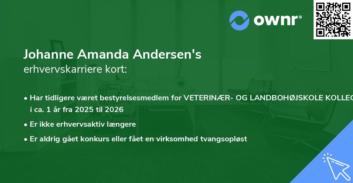 Johanne Amanda Andersen's erhvervskarriere kort