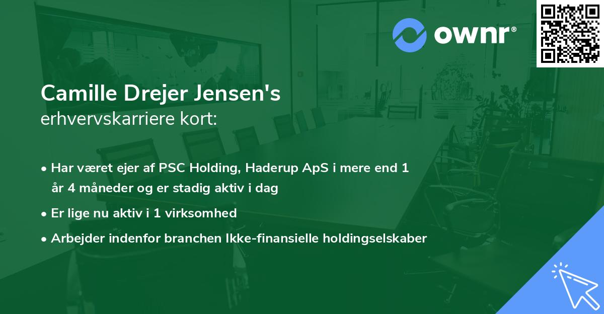 Camille Drejer Jensen's erhvervskarriere kort