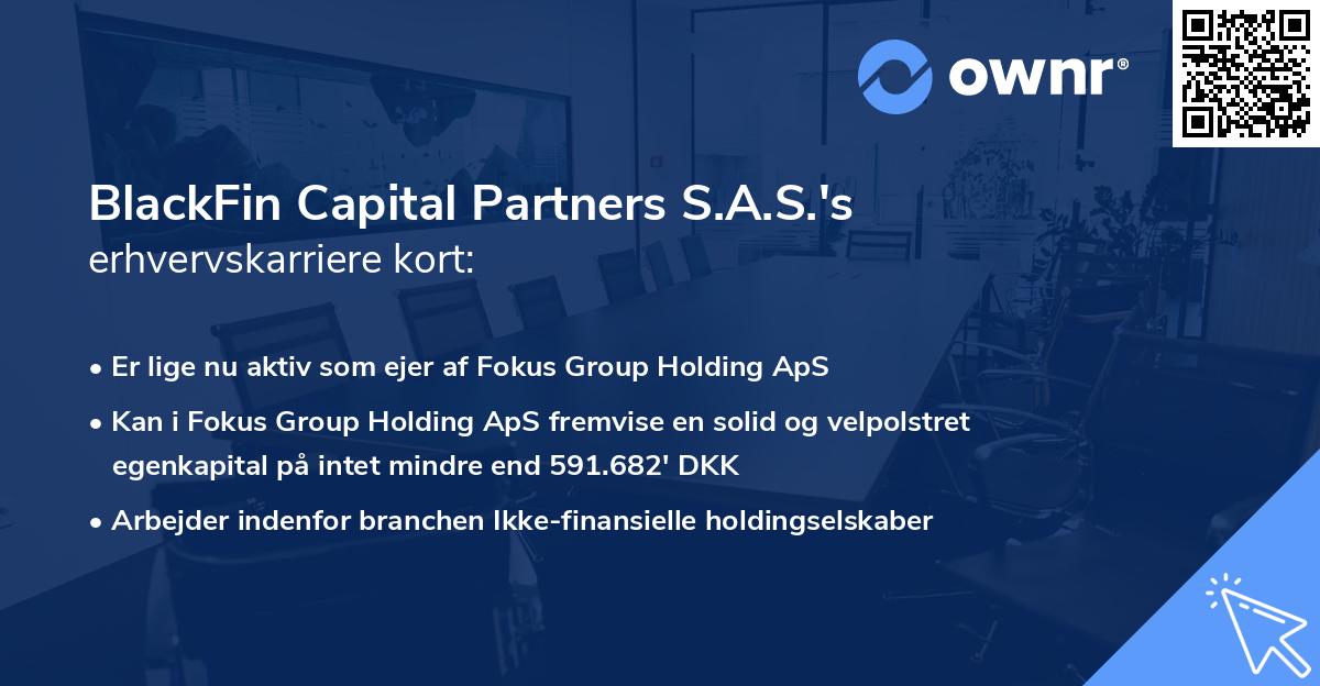 BlackFin Capital Partners S.A.S.'s erhvervskarriere kort