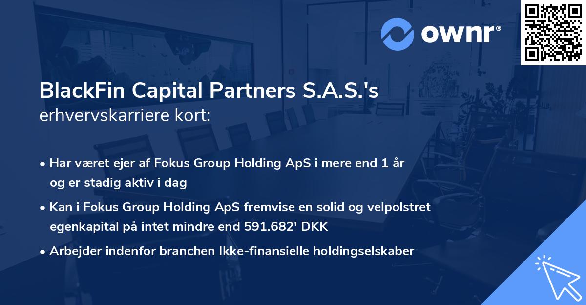 BlackFin Capital Partners S.A.S.'s erhvervskarriere kort