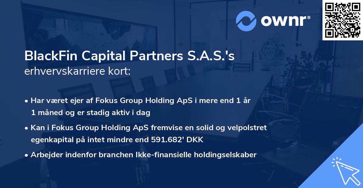 BlackFin Capital Partners S.A.S.'s erhvervskarriere kort