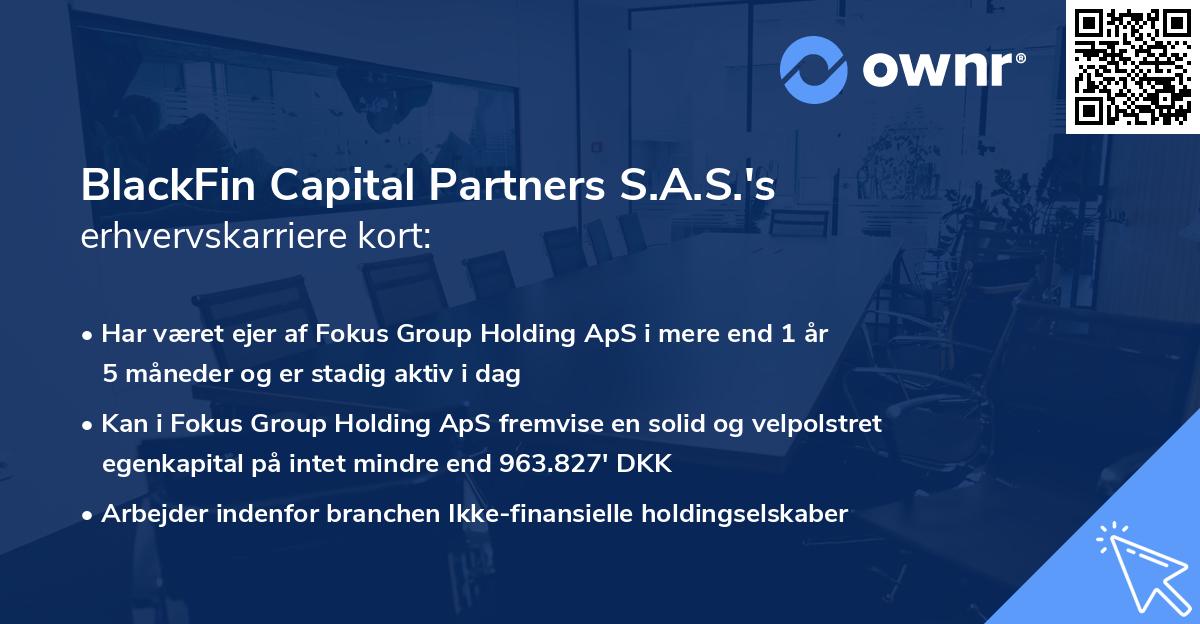 BlackFin Capital Partners S.A.S.'s erhvervskarriere kort