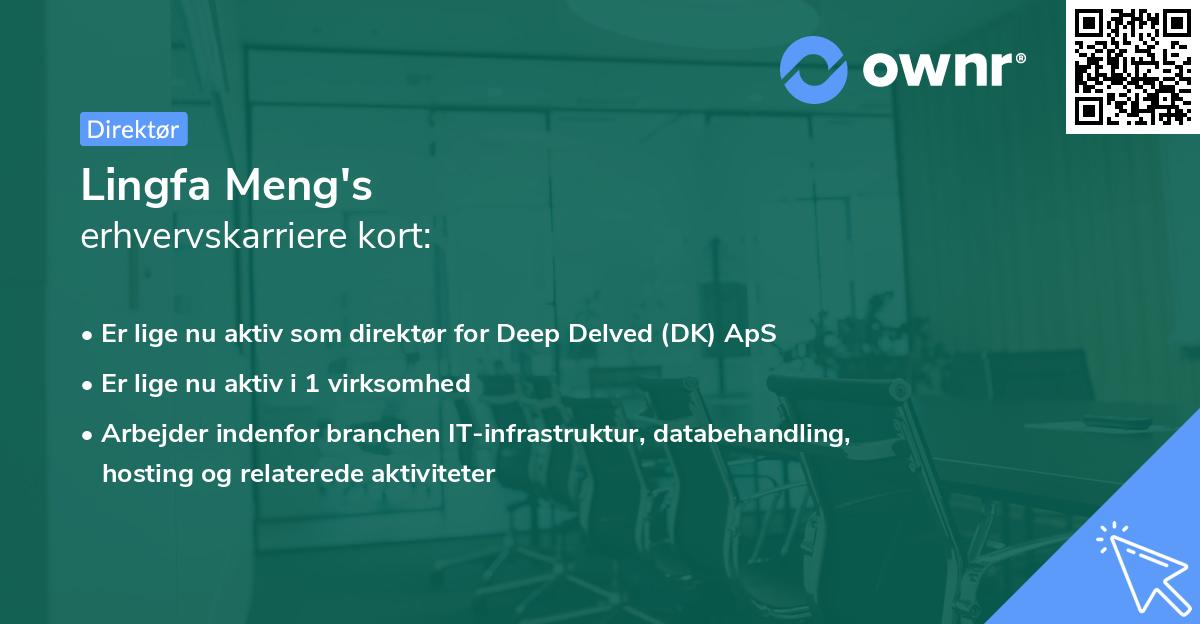 Lingfa Meng's erhvervskarriere kort