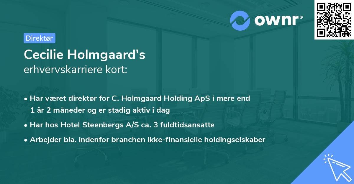 Cecilie Holmgaard's erhvervskarriere kort