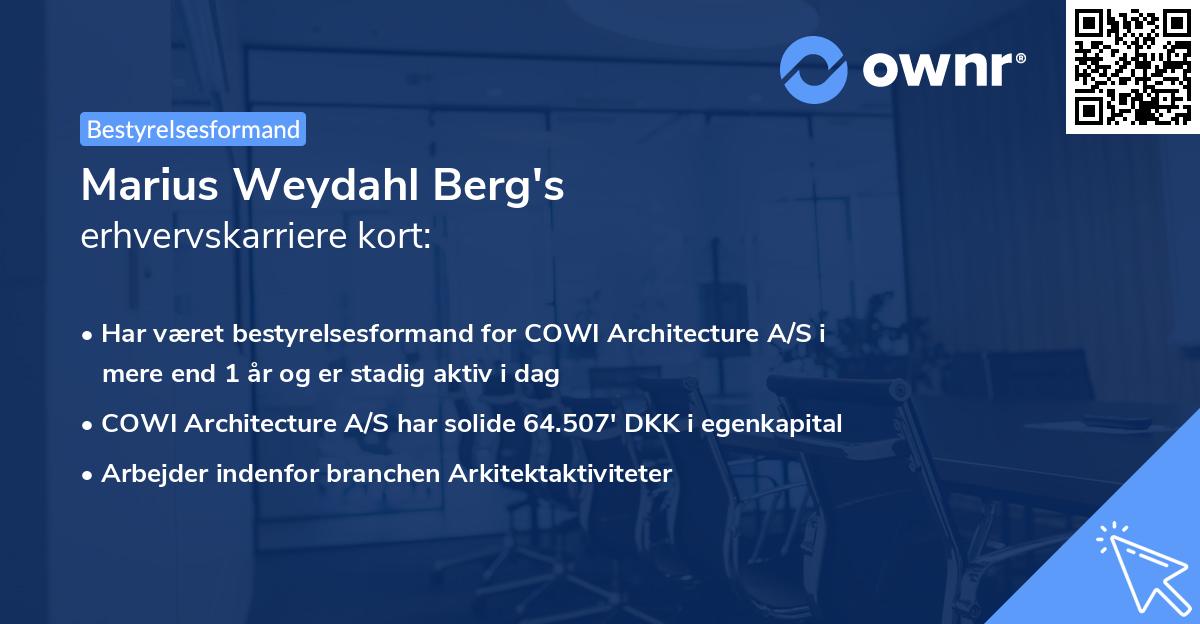 Marius Weydahl Berg's erhvervskarriere kort