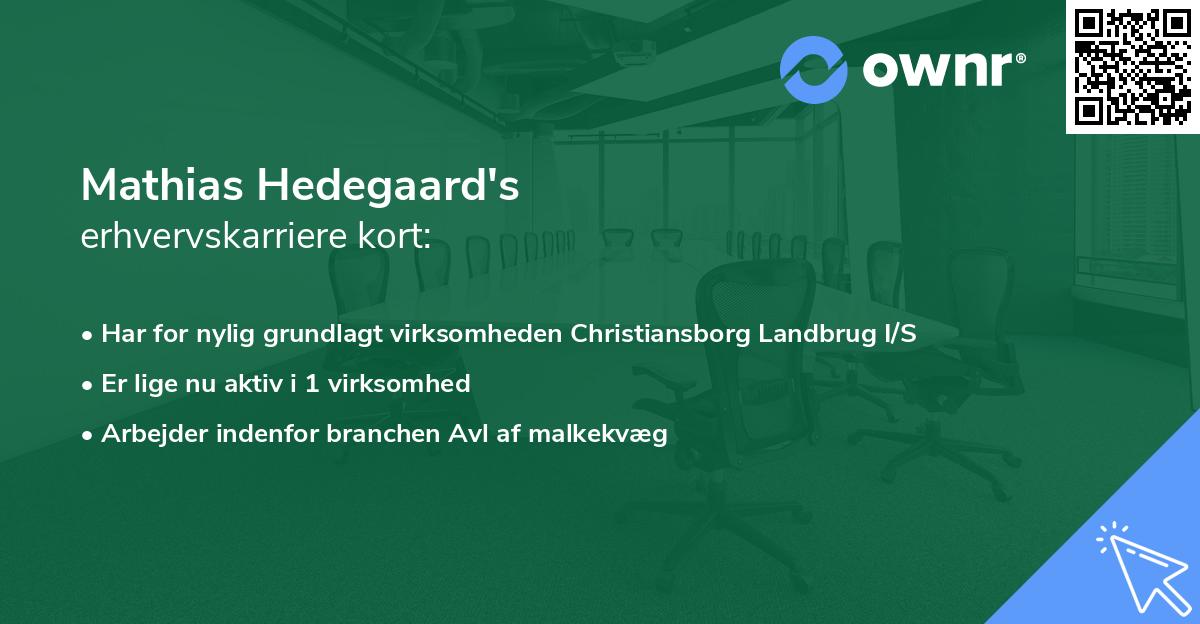 Mathias Hedegaard's erhvervskarriere kort