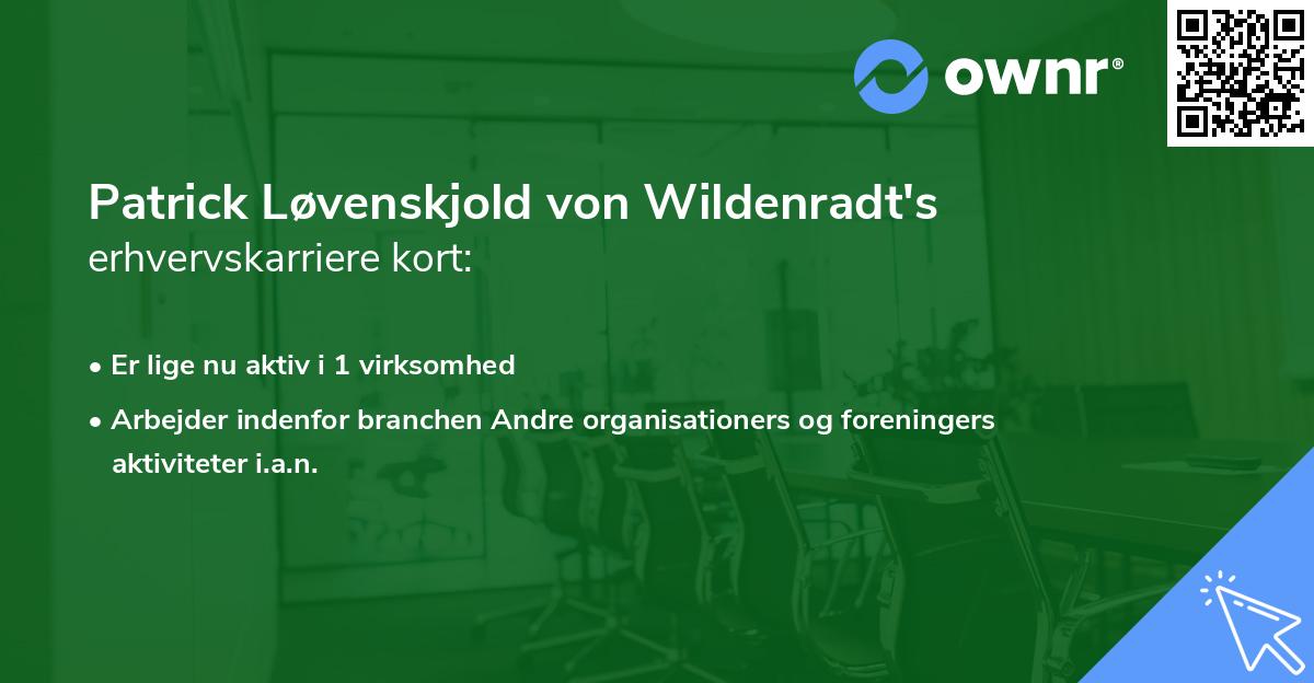 Patrick Løvenskjold von Wildenradt's erhvervskarriere kort
