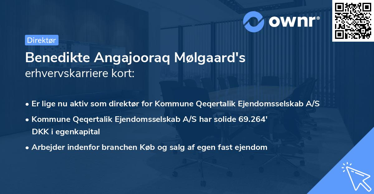 Benedikte Angajooraq Mølgaard's erhvervskarriere kort