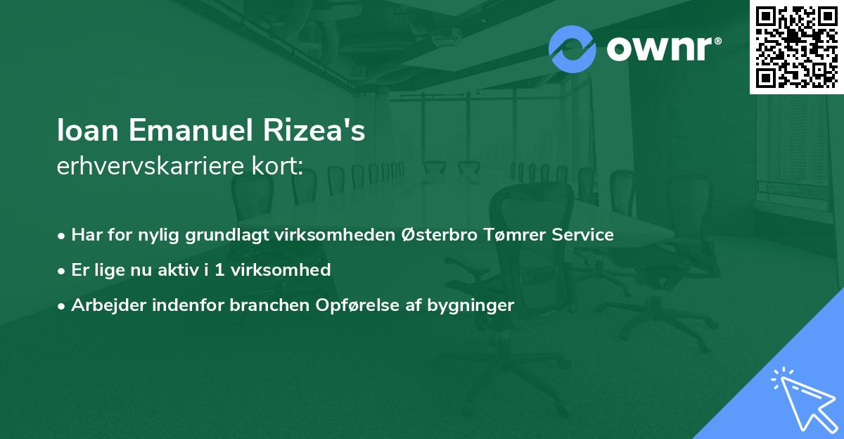 Ioan Emanuel Rizea's erhvervskarriere kort