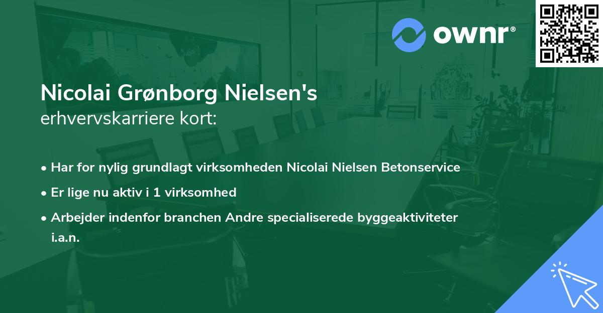 Nicolai Grønborg Nielsen's erhvervskarriere kort
