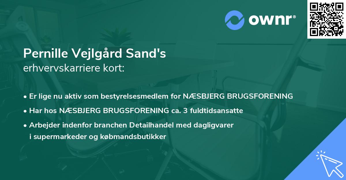 Pernille Vejlgård Sand's erhvervskarriere kort