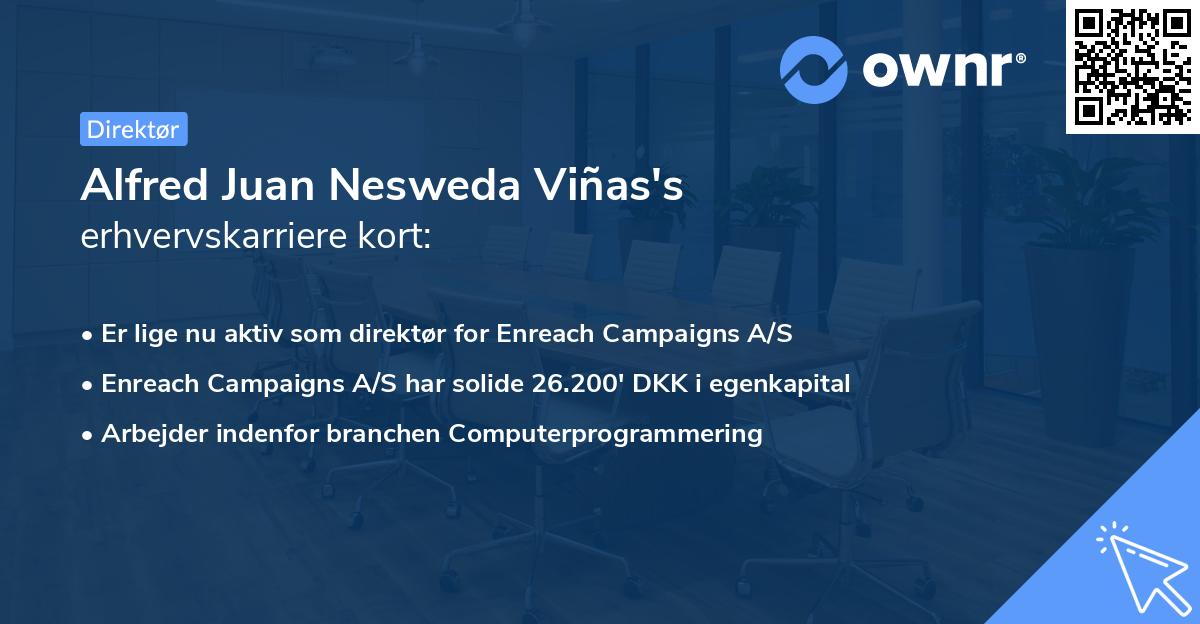 Alfred Juan Nesweda Viñas's erhvervskarriere kort
