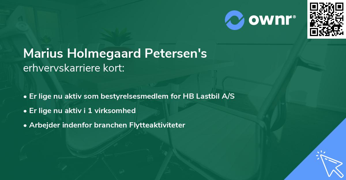 Marius Holmegaard Petersen's erhvervskarriere kort