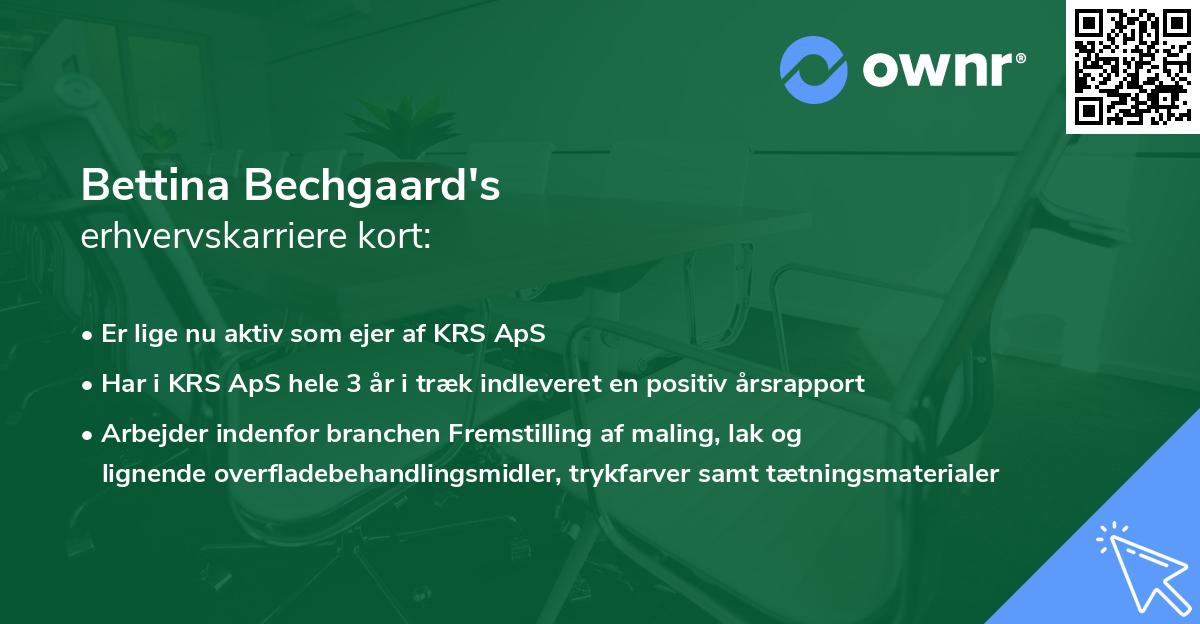 Bettina Bechgaard's erhvervskarriere kort