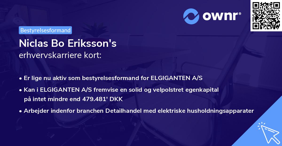 Niclas Bo Eriksson's erhvervskarriere kort