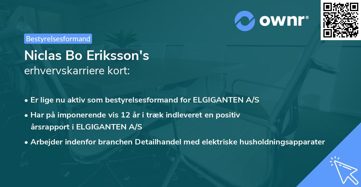 Niclas Bo Eriksson's erhvervskarriere kort