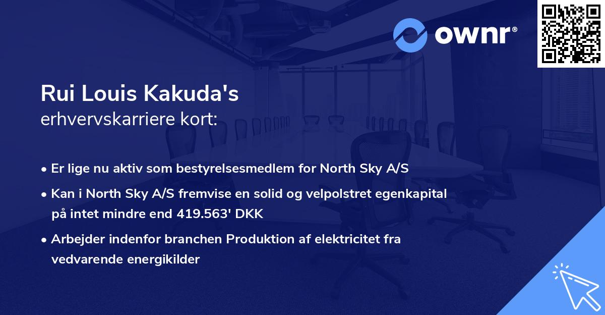 Rui Louis Kakuda's erhvervskarriere kort
