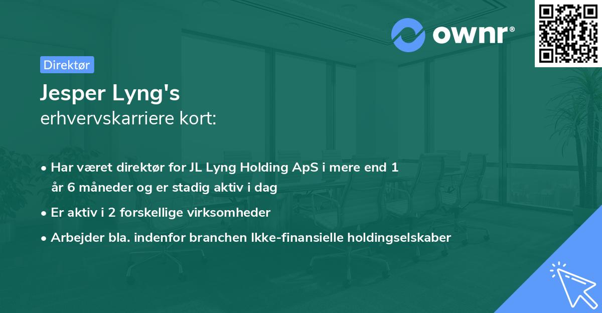 Jesper Lyng's erhvervskarriere kort