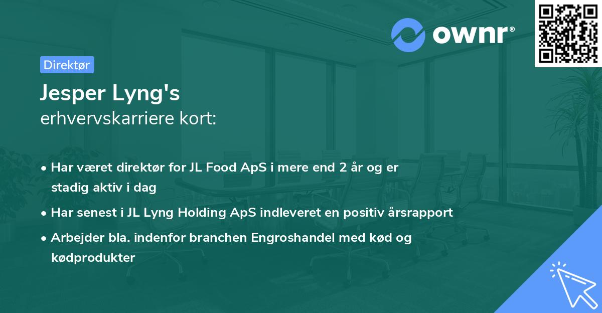 Jesper Lyng's erhvervskarriere kort