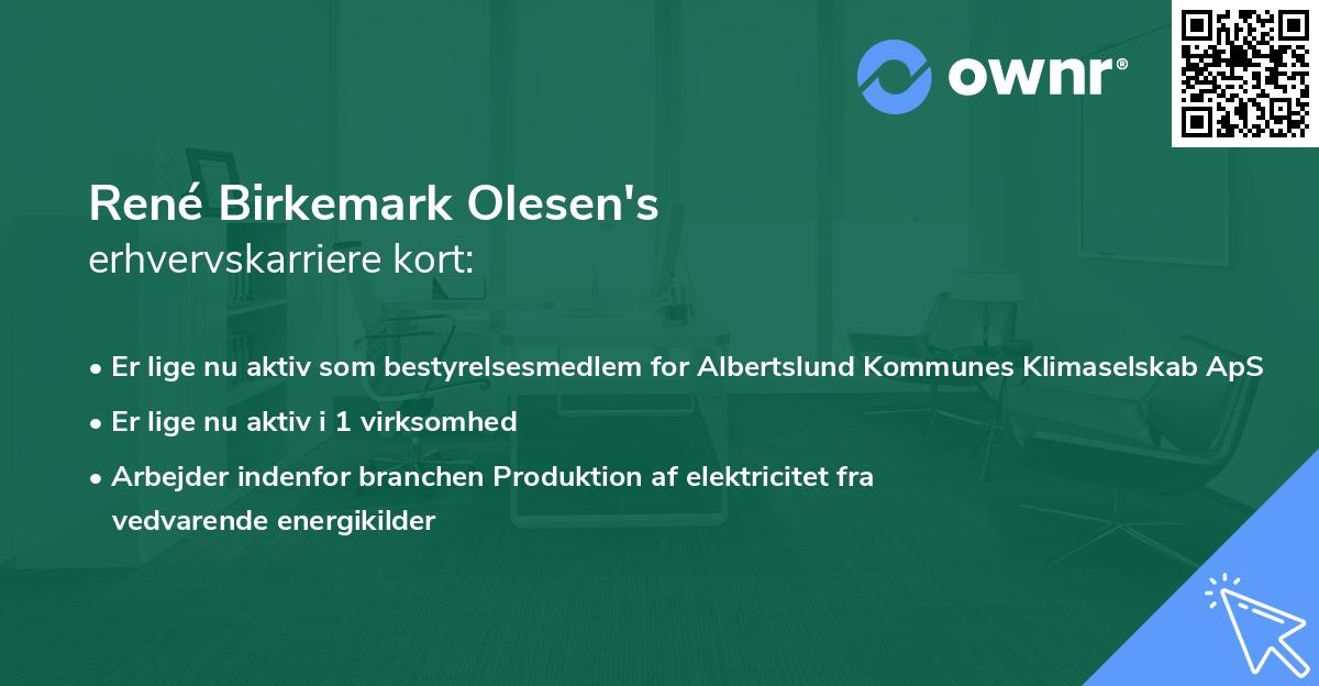 René Birkemark Olesen's erhvervskarriere kort