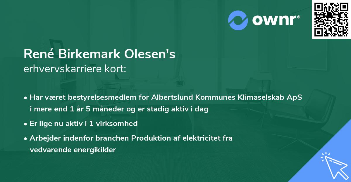 René Birkemark Olesen's erhvervskarriere kort