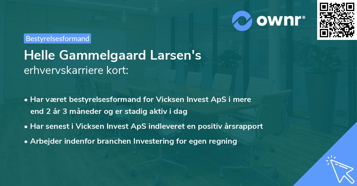 Helle Gammelgaard Larsen's erhvervskarriere kort