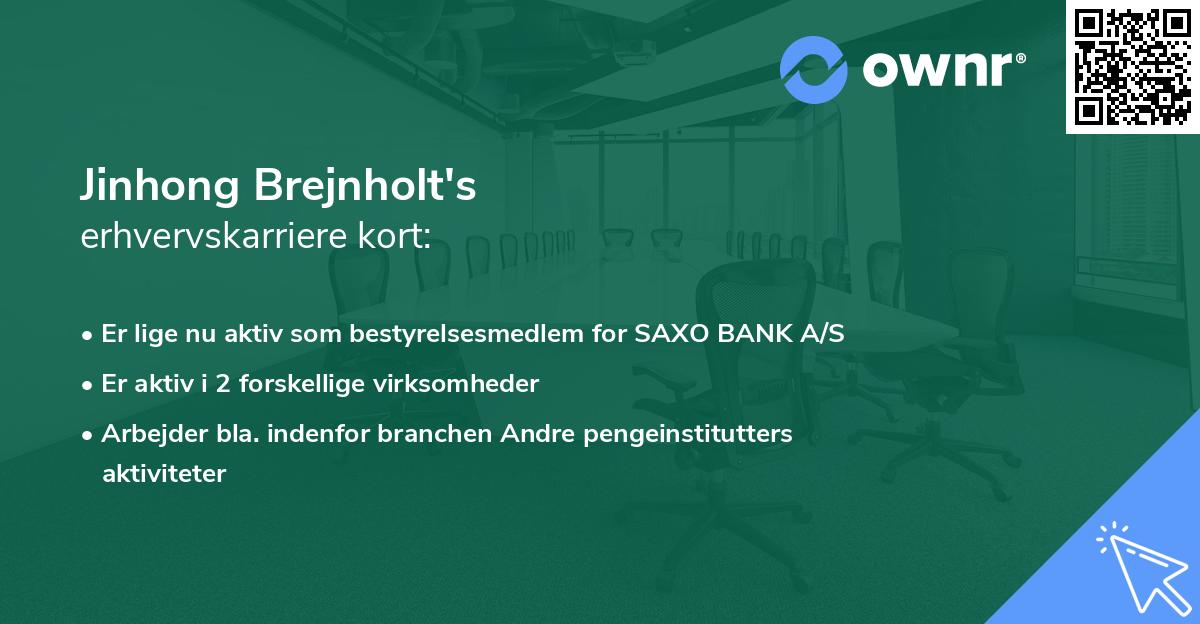 Jinhong Brejnholt's erhvervskarriere kort