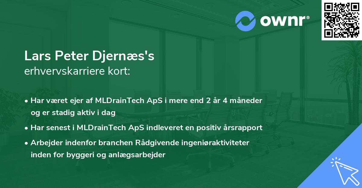 Lars Peter Djernæs's erhvervskarriere kort