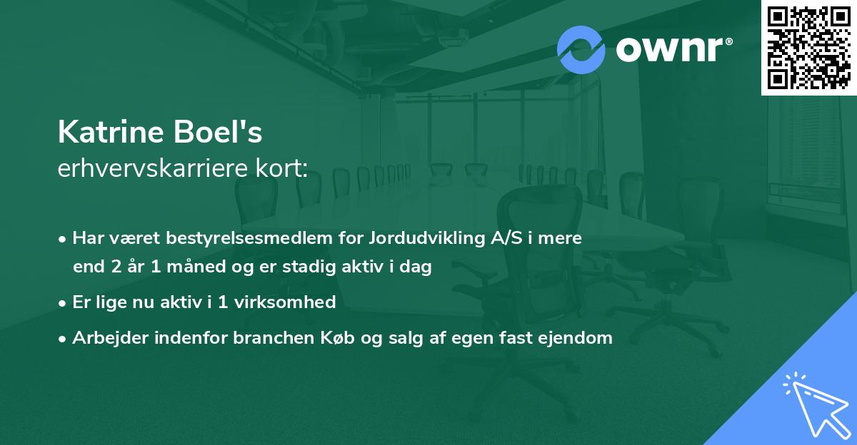 Katrine Boel's erhvervskarriere kort