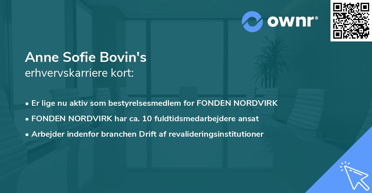 Anne Sofie Bovin's erhvervskarriere kort