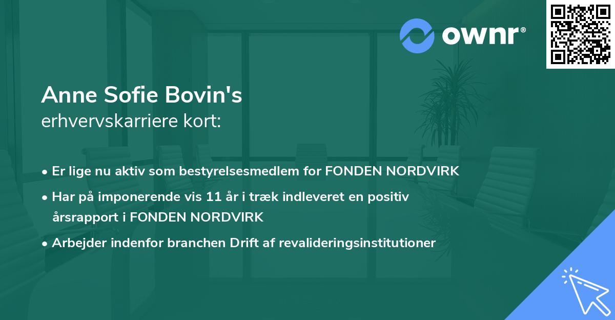 Anne Sofie Bovin's erhvervskarriere kort