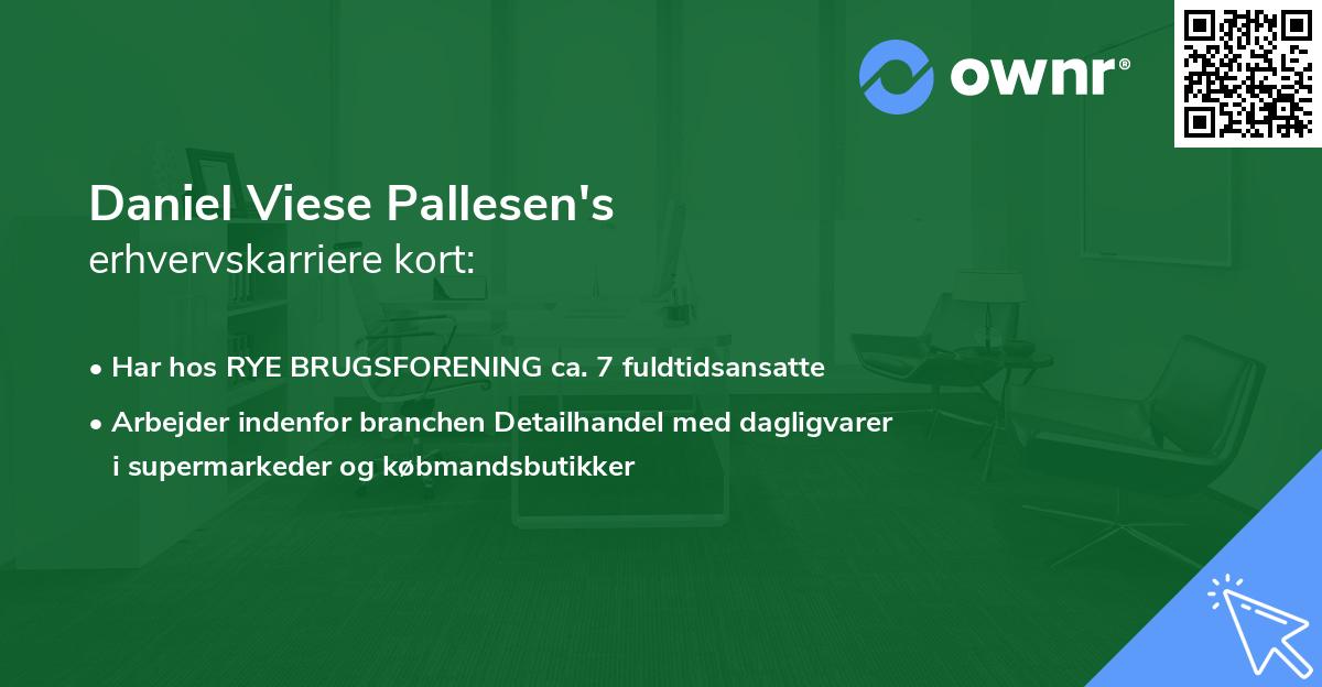 Daniel Viese Pallesen's erhvervskarriere kort