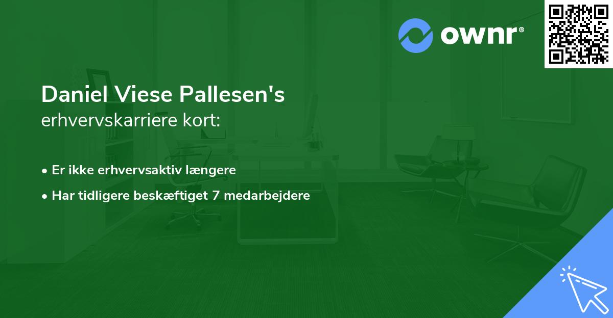Daniel Viese Pallesen's erhvervskarriere kort