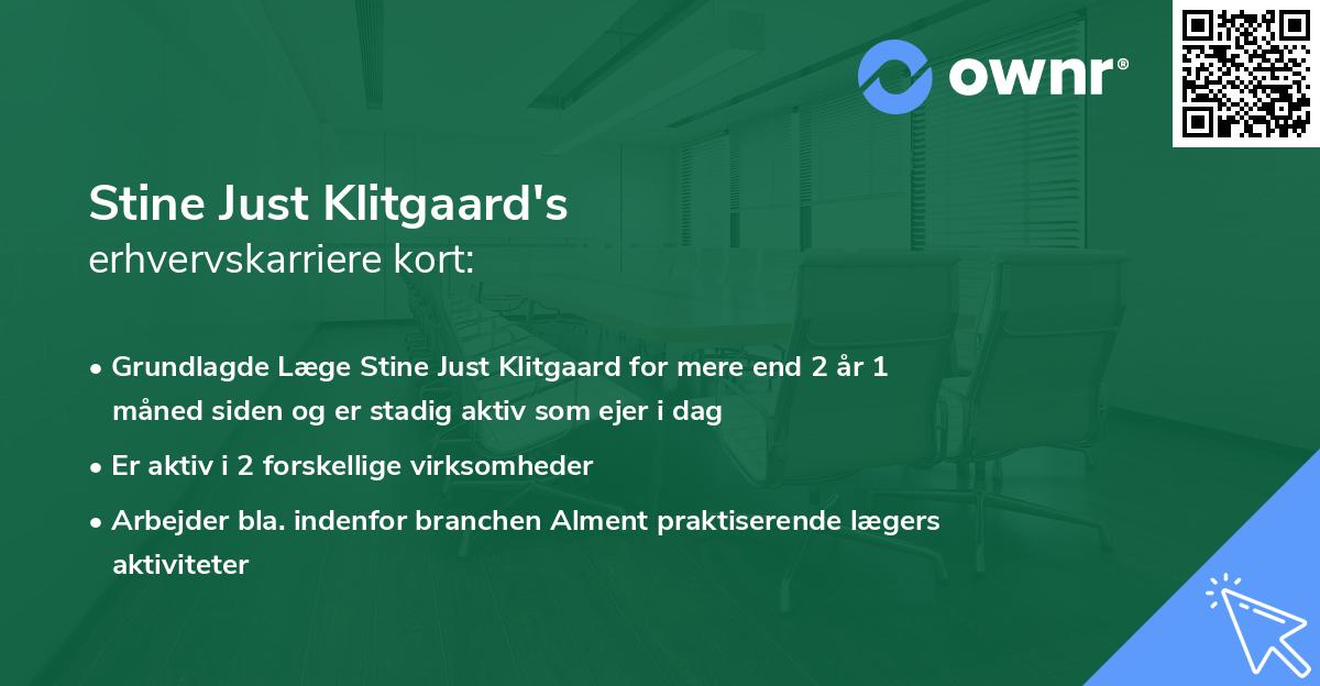 Stine Just Klitgaard's erhvervskarriere kort