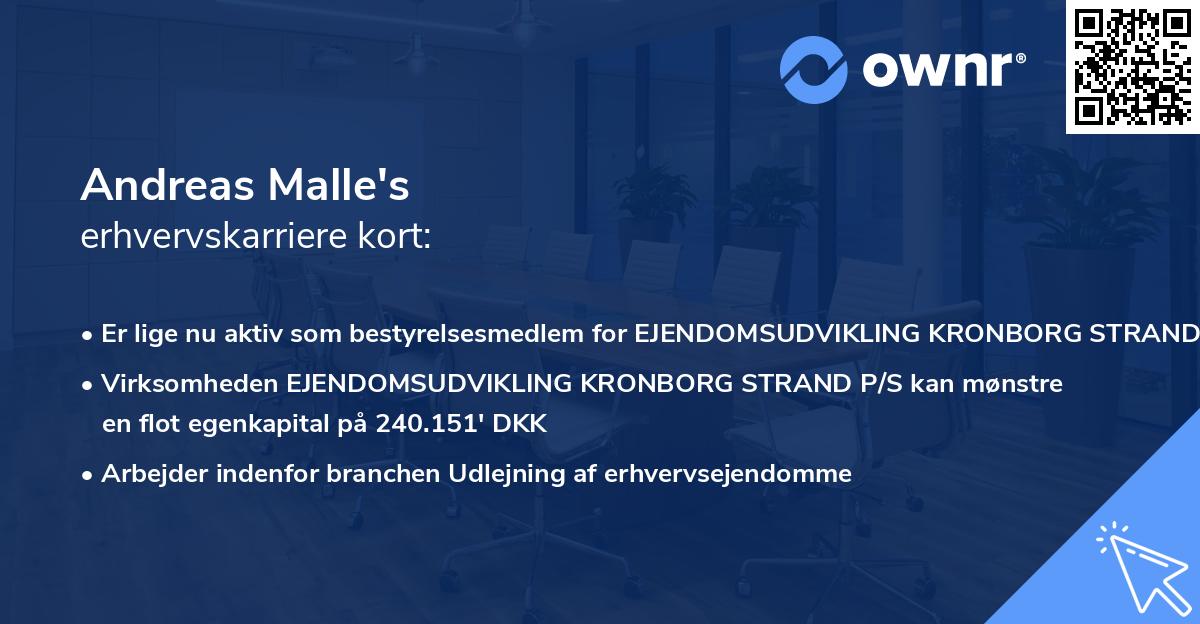 Andreas Malle's erhvervskarriere kort