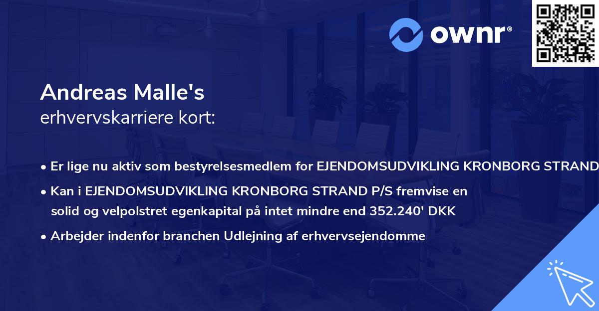 Andreas Malle's erhvervskarriere kort