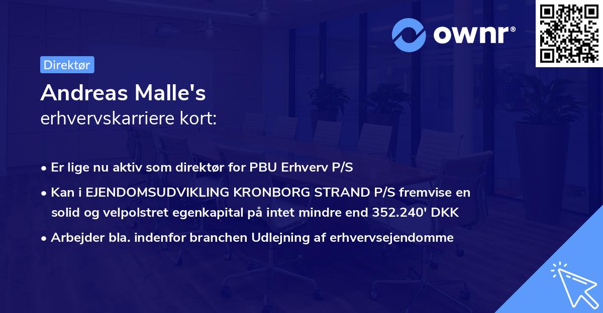 Andreas Malle's erhvervskarriere kort