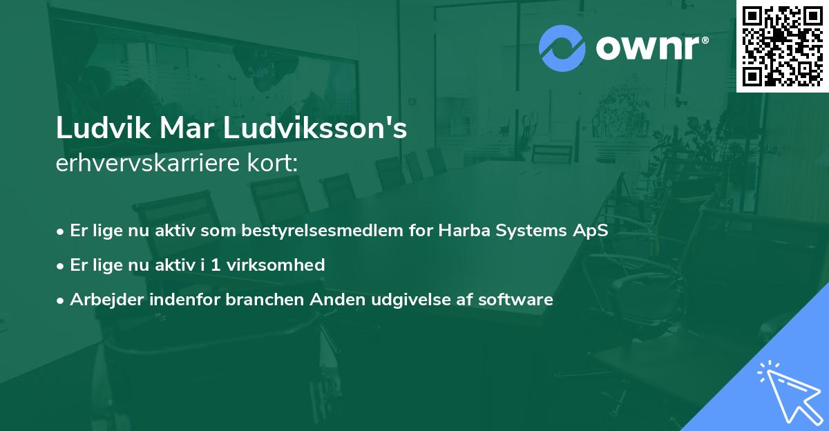 Ludvik Mar Ludviksson's erhvervskarriere kort