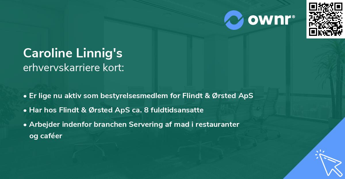 Caroline Linnig's erhvervskarriere kort