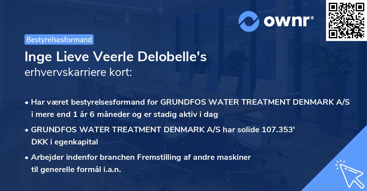 Inge Lieve Veerle Delobelle's erhvervskarriere kort