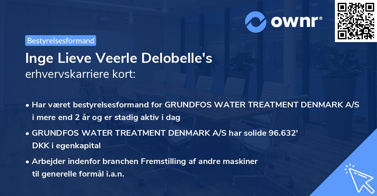 Inge Lieve Veerle Delobelle's erhvervskarriere kort