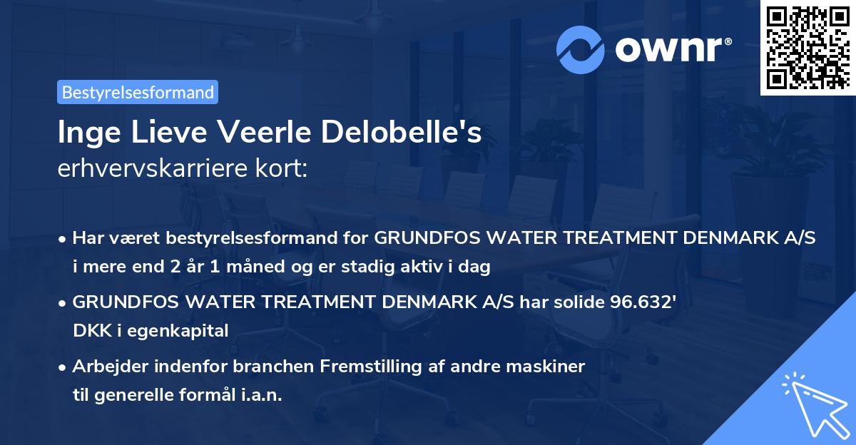 Inge Lieve Veerle Delobelle's erhvervskarriere kort