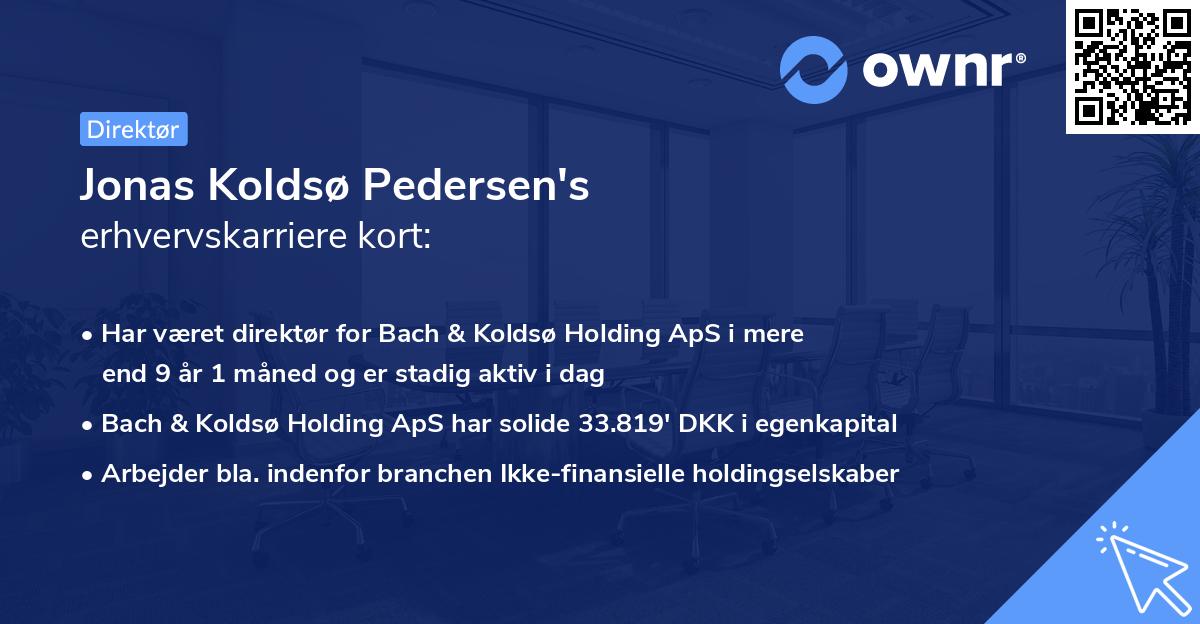 Jonas Koldsø Pedersen's erhvervskarriere kort