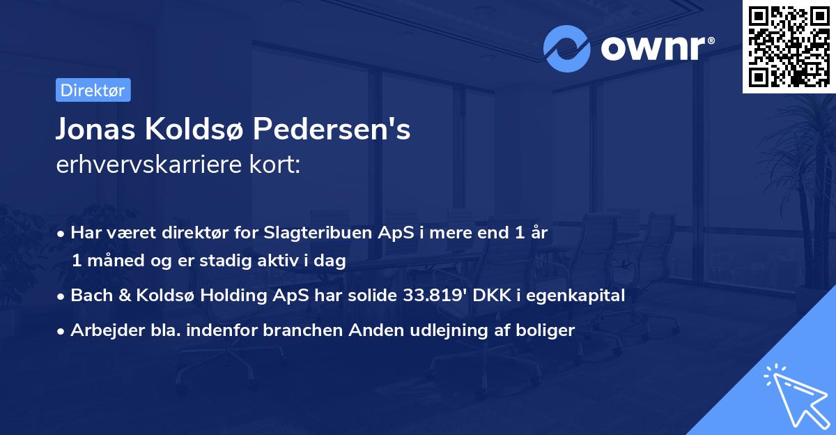 Jonas Koldsø Pedersen's erhvervskarriere kort